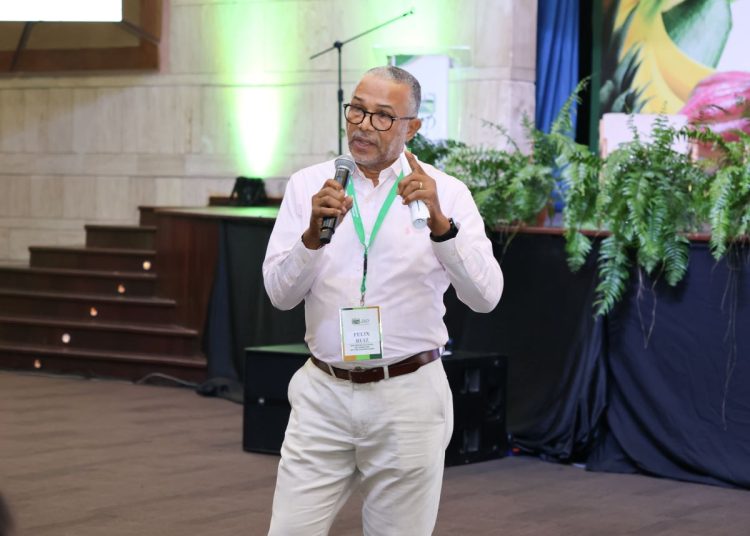 Ruiz precisó que el mango es un sector relativamente nuevo dentro de la agricultura dominicana.