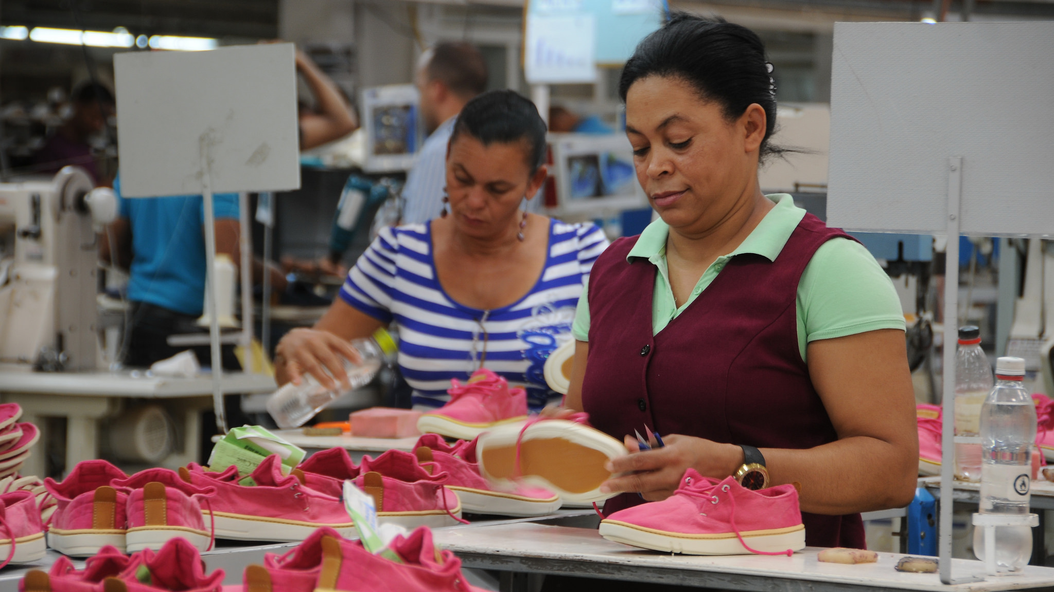 Las mipymes son las empresas que mayor aporte hacen en empleos a la economía dominicana