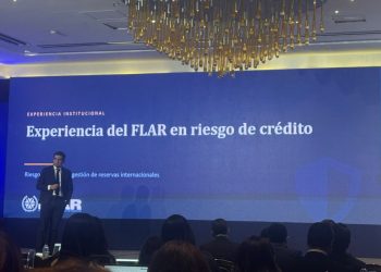 Granados Ruiz destacó la importancia de la independencia entre las áreas de riesgos e inversiones.