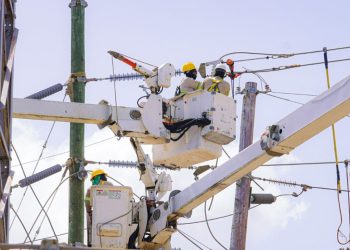 Las brigadas de ETED reemplazarán estructuras deterioradas como parte de las labores de mantenimiento de la red eléctrica.