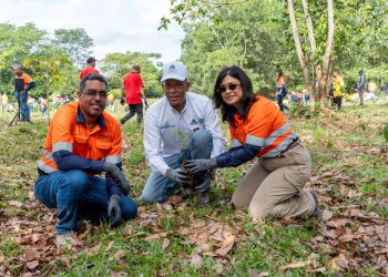 Más de 350 personas participan en la plantación de alrededor de 2,000 plantas.