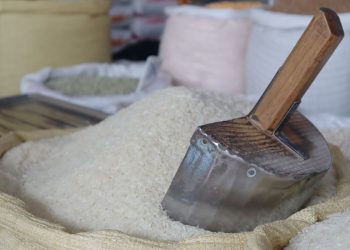 En enero-agosto de 2025 República Dominicana importó arroz por valor de US$14.3 millones.