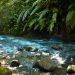 Las iniciativas deben de estar orientadas a la conservación ambiental, acción climática y el uso sostenible de los recursos naturales.