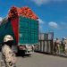 7. Las exportaciones de productos nacionales hacia Haití superaron en valor las destinadas a Estados Unidos, de acuerdo con las cifras citadas de la DGA.