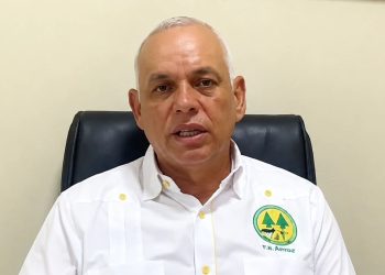 Rodríguez explicó a elDinero que el sector necesita apoyo para la preparación de tierras y el desarrollo de los cultivos.