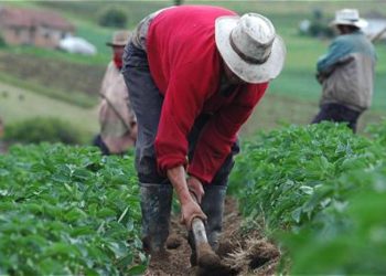 La evolución del crédito entre 2023 y 2025 también presentó diferencias territoriales.