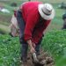 La evolución del crédito entre 2023 y 2025 también presentó diferencias territoriales.