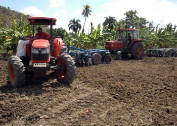 Los riesgos climáticos y las fluctuaciones de los precios internacionales aumentan la incertidumbre de la actividad agropecuaria.