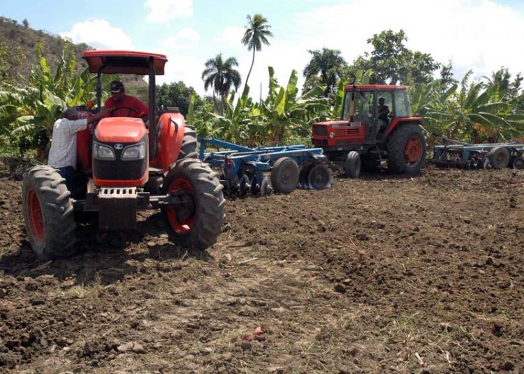 Los riesgos climáticos y las fluctuaciones de los precios internacionales aumentan la incertidumbre de la actividad agropecuaria.